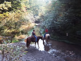 Equestrian Trail System River