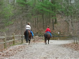 Equestrian Trail System Trail Horses